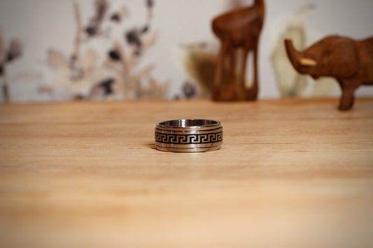 Anillos Giratorios - Espiral Plateada