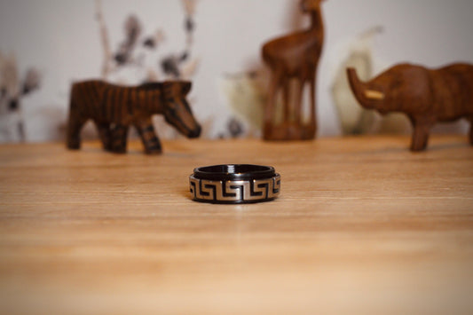 Anillos Giratorios - Laberinto Negro